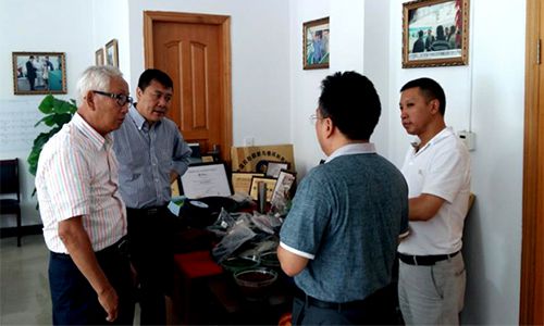 Technical Consulting